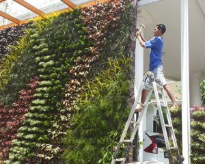 tukang taman alam sutera