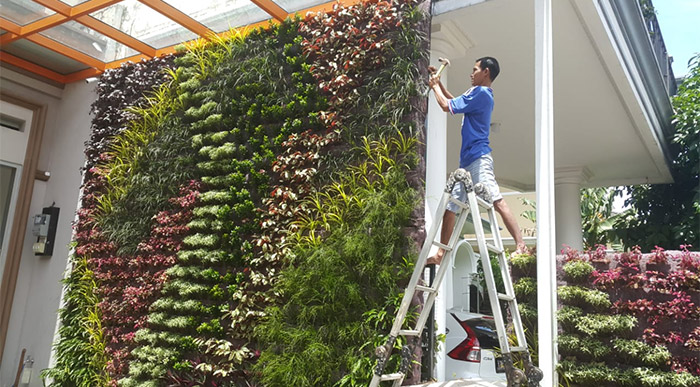 tukang taman alam sutera