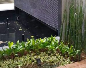 tukang taman gading serpong