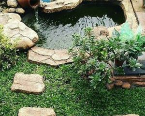 tukang taman tangerang