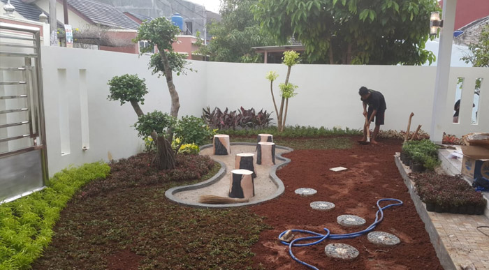 tukang taman pondok indah