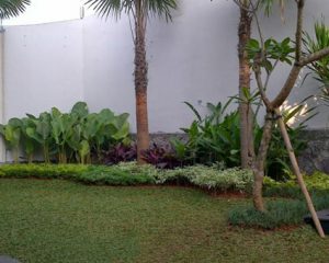 tukang taman serpong